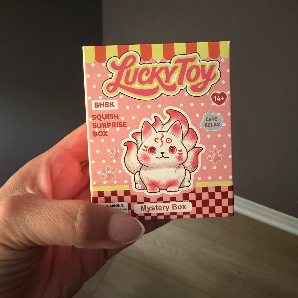Lucky Toy BHBK Squish Kitty Surprise Mystery Box Squishy Figure Cat